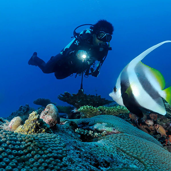 Kiné à Mayotte